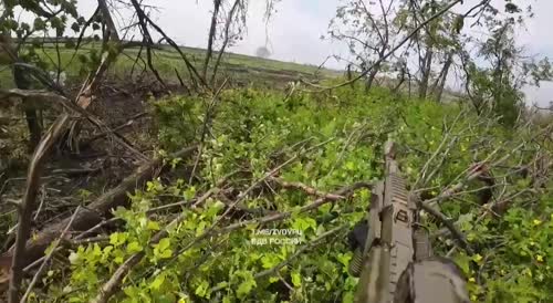 A bunch of dead Ukrainians will not return home. Russians storm the trenches and kill the target