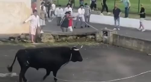 Bull had enough
