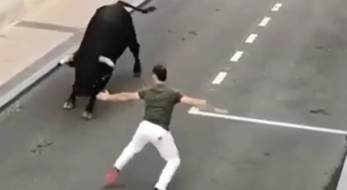 ]Drunk Man Killed By The Bull In Spain