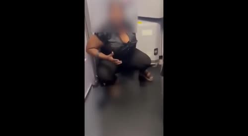 Spirit Airlines Hits New Low: Woman Pisses Everywhere
