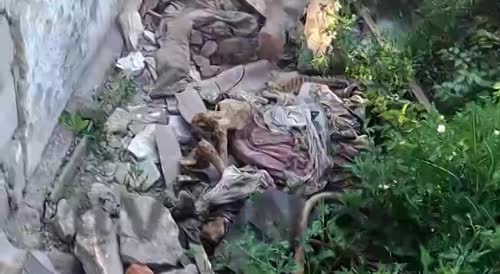 rotting Ukrainians corpses
