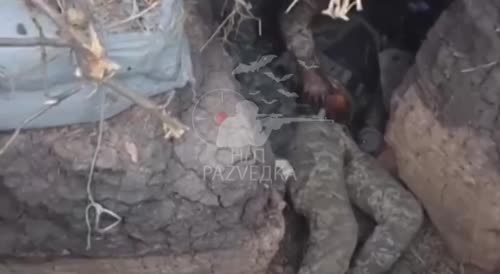 Destroyed black mercenaries fighting on the side of Ukraine