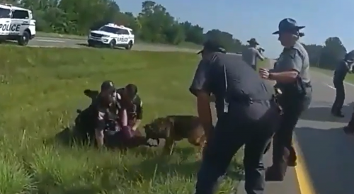 Police K9 attacks unarmed Black man after semi chase in Ohio