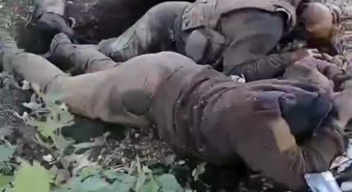 Rotting corpses of Ukrainians lie in the trenches of Ukraine