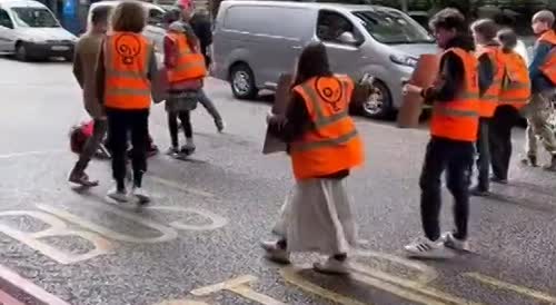 London Driver Attacks Eco Activist