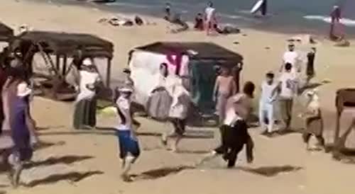 Fight migrant wild beach