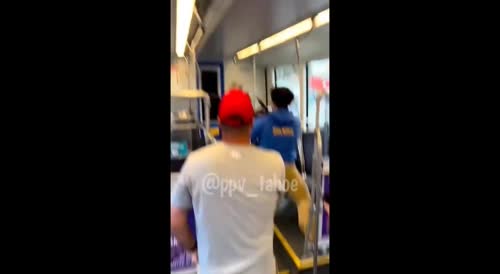 Hero Steps In To Save A Man Getting Stabbed On Seattle Train