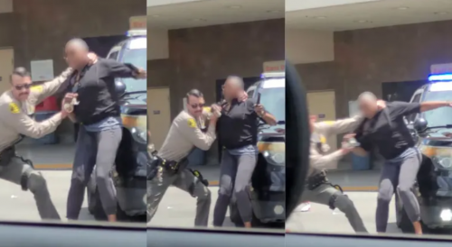 LAPD Deputy Uses Excessive Force