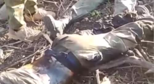 Many rotting corpses of Ukrainians, in the captured positions