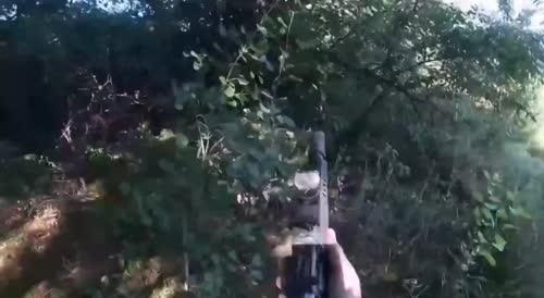 2 Russian Soldiers Found Hanging From a Tree