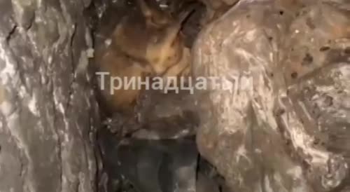 Five Ukrainians turned into mummies in a bunker
