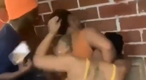 Floopy Boobs Fight
