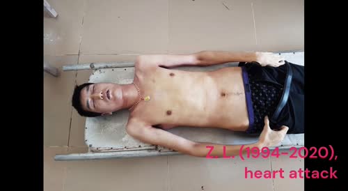 Some Chinese Who Died in Cambodia Recent Years