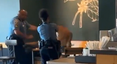 Man Tased After Masturbating in Front of an Employee at Starbucks