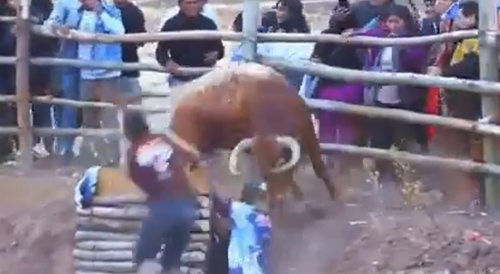 Peruvian Bull Fest Compilation