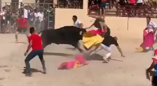 Another angle Of Big Bull Day In Spain