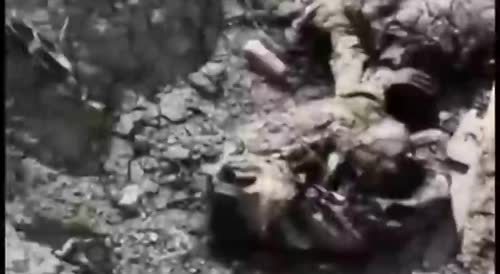 Rotten corpses of Ukrainians in captured positions