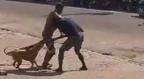 Cachaça Men Fighting With Sticks