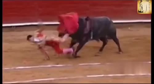 A long and lovely compilation of bulls fucking humans up!