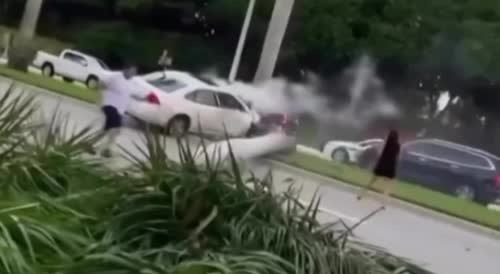 Chevrolet smashes into a palm tree in West Palm Beach