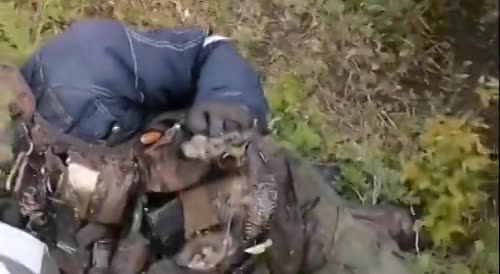 Pilot found rotting in Ukrainian jungle
