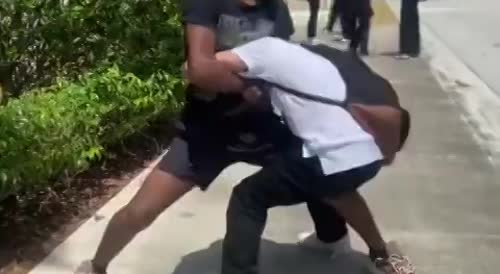 Fight at Homestead Pavilion shopping mall