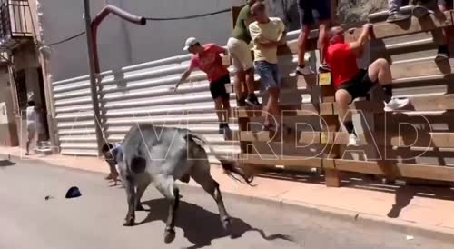 Stomped By Damn Bull In Spain
