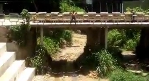 Man Jumps From An Overpass In Colombia