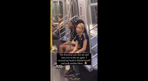 A Group Of Black Teens Harass An Asian Family On The NYC Subway