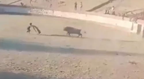 Bull Kills A Man In Peru