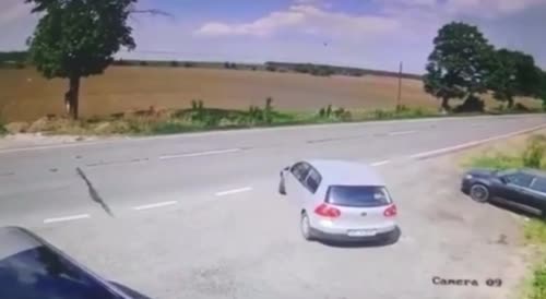 Dumbass gets killed in Romania