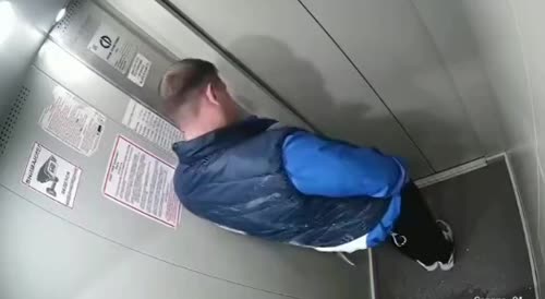Dude Took piss elevator
