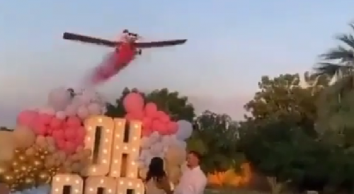 Pilot died after his plane crashed at a gender reveal party in San Pedro, Mexico.