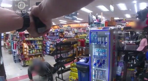 Armed Robbery Suspect Fights Officers and Attempts to Take Officer's Gun During Arrest.
