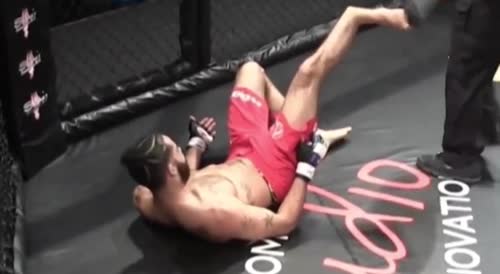 MMA Fighter Snaps his Leg - ouch!(repost)
