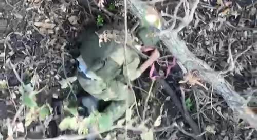 A pair of soldiers destroyed by drone dropped explosives