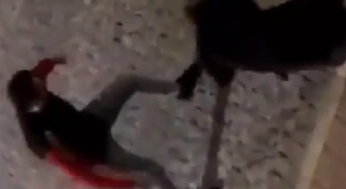 Worthless POS Kicks EX GF In The Head In The Streets Of Portugal