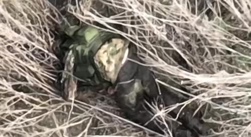 Tourist got lost in tall Ukrainian grass and died
