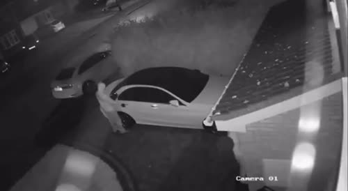 Criminals steal a vehicle during the night