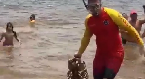 Skeleton Pulled Out of Ocean in Front of Citizens