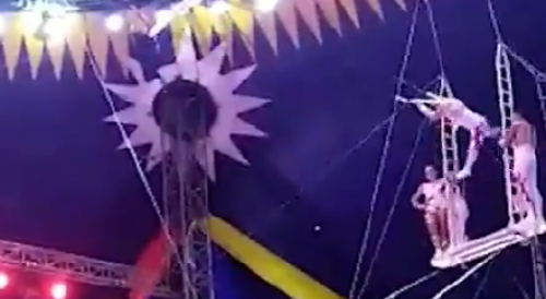 Trapeze Artist Suffers Brutal Fall in Chinese Circus