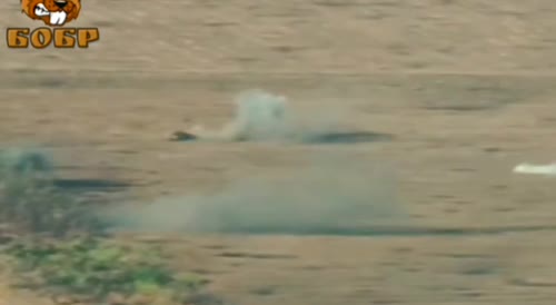 Russian drone destroys Ukrainian leopard tank