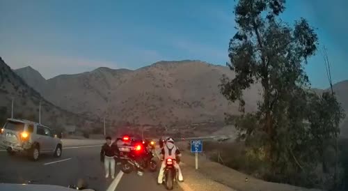 Idiots on bikes crash at an accident scene.