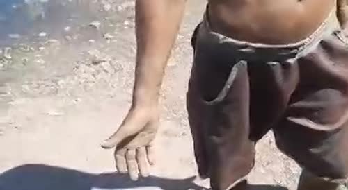 Brazilian thief was shot in the butt and both hands for stealing pallets