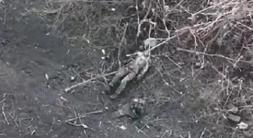 Russian Soldier Hit By FPV Pigeon