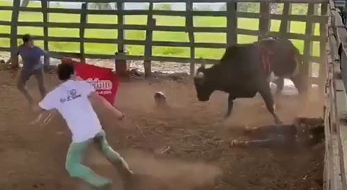 Bull`s Revenge In Costa Rica