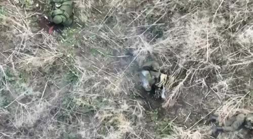 Four legged invaders got hit by drone bomb