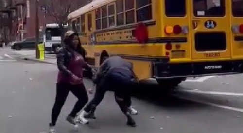 Brooklyn Road Rage Fight Goes Viral