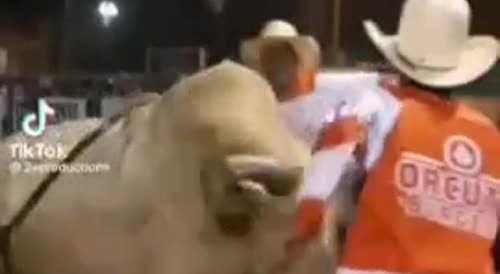 Nice SLo-Mo: Tossed In Air By Bull