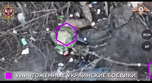 Destruction of Ukrainians with grenades. How's the counteroffensive going?